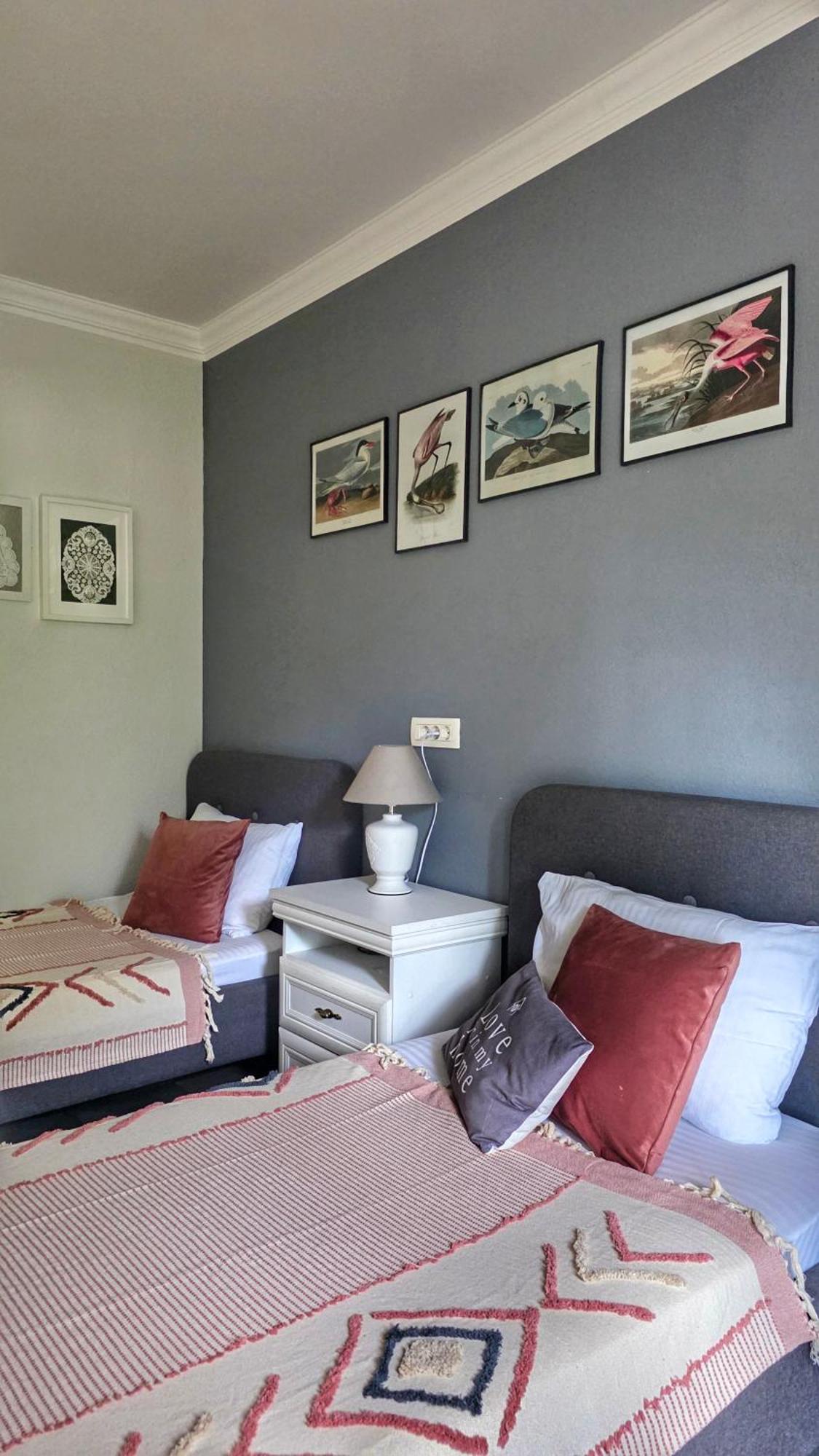 Apartment Mint&Rose Рисан Экстерьер фото