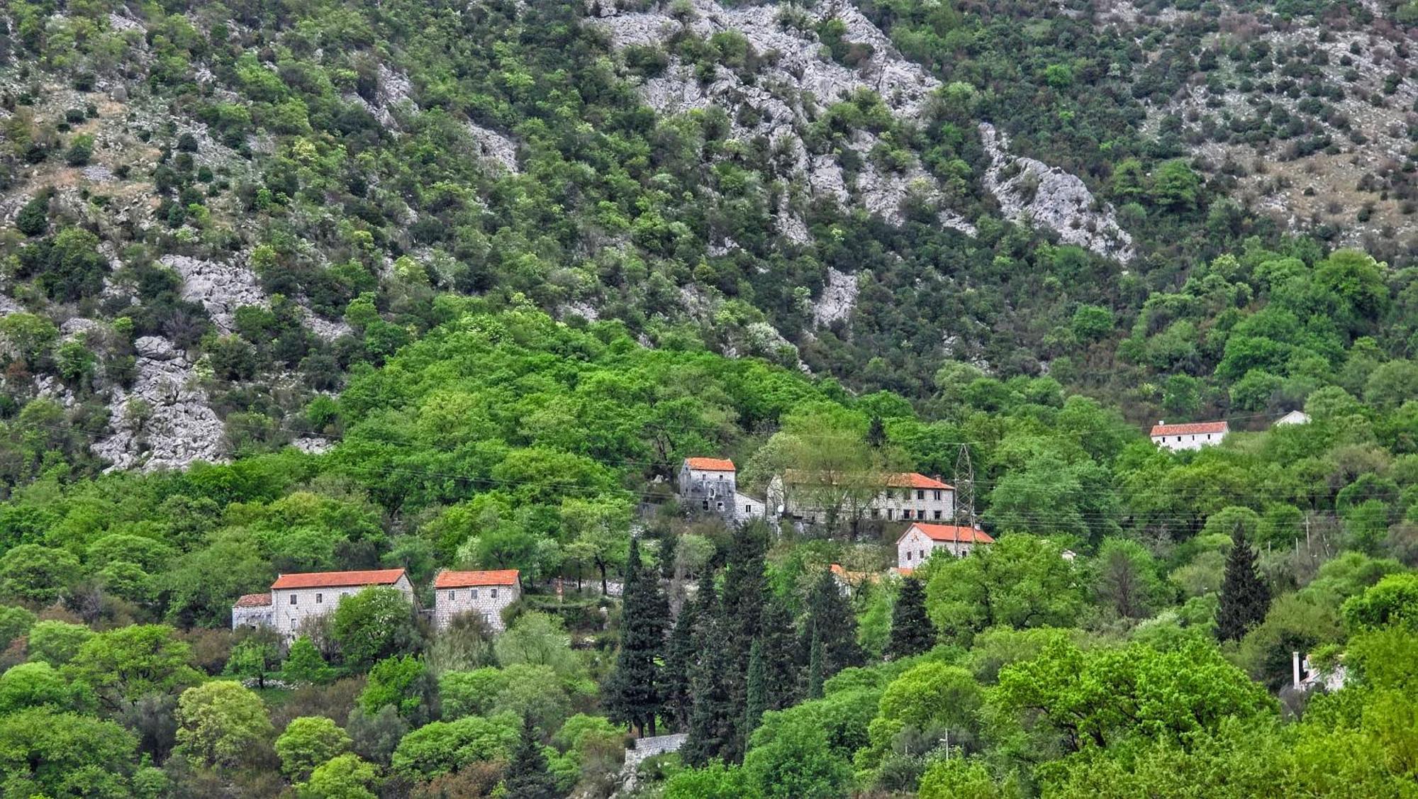 Apartment Mint&Rose Рисан Экстерьер фото