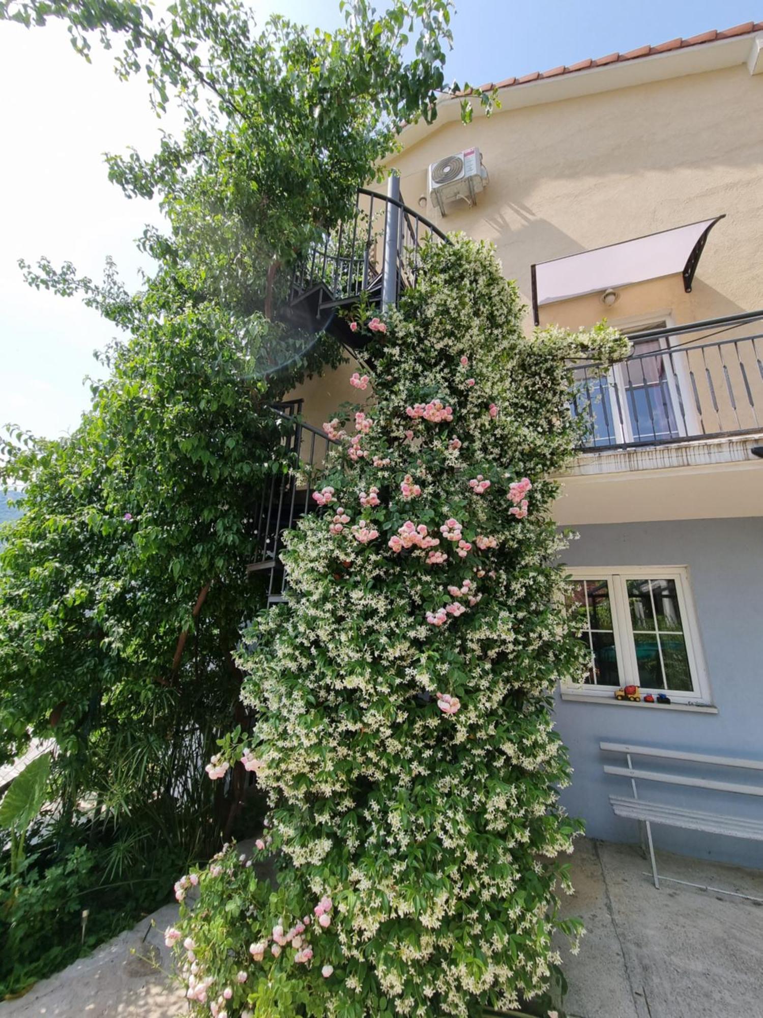 Apartment Mint&Rose Рисан Экстерьер фото