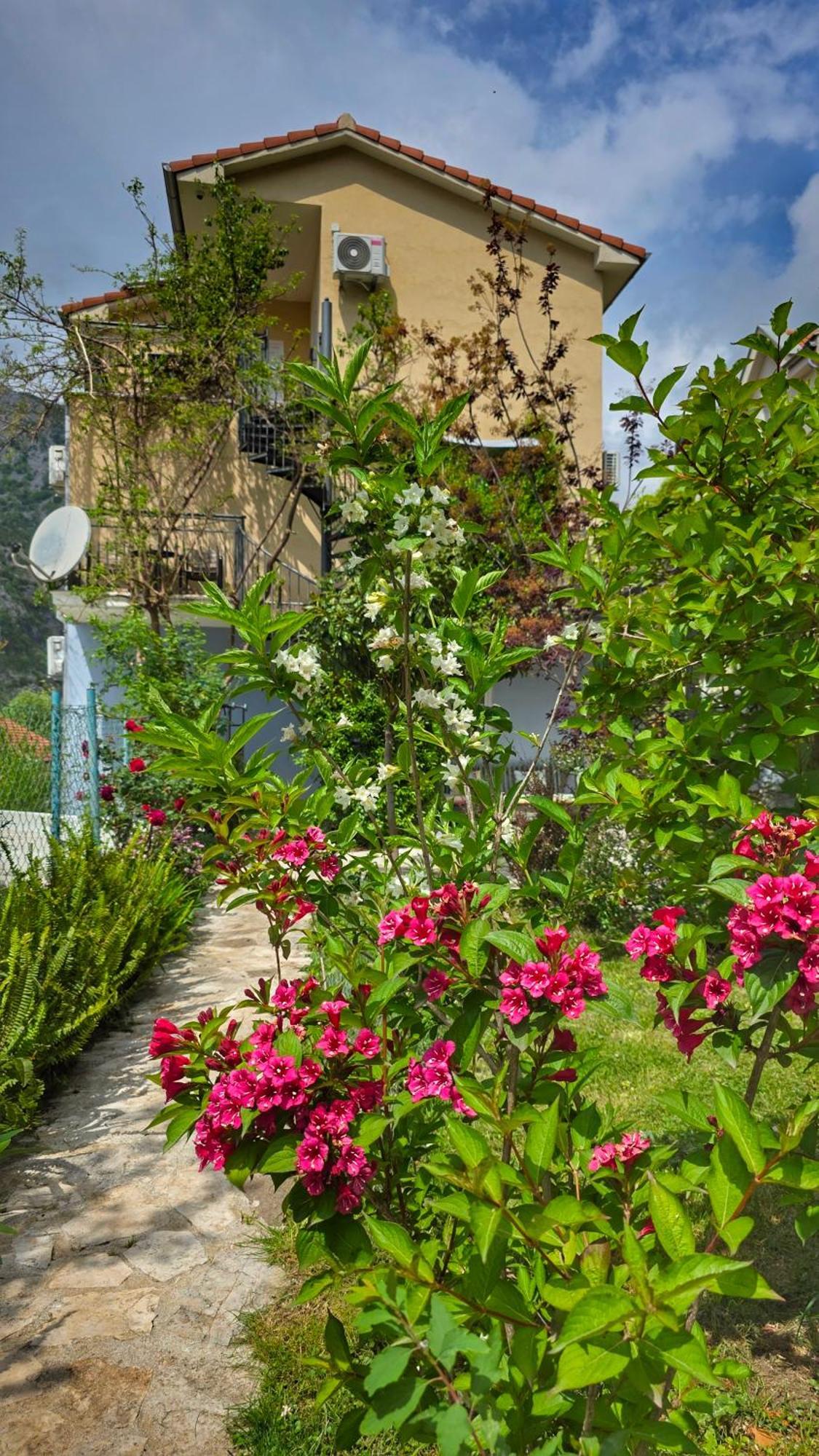 Apartment Mint&Rose Рисан Экстерьер фото